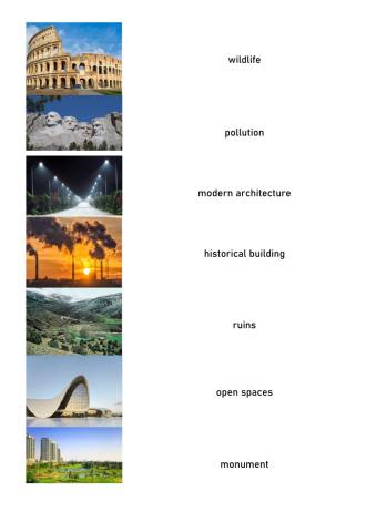 Environment Vocabulary