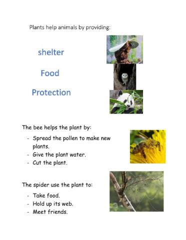 Plants and animals live together