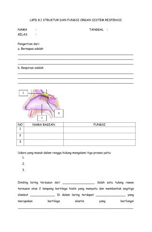Lkpd 8.1 struktur dan fungsi organ respirasi