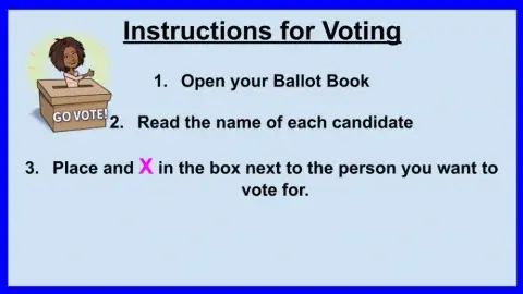 Voting instructions