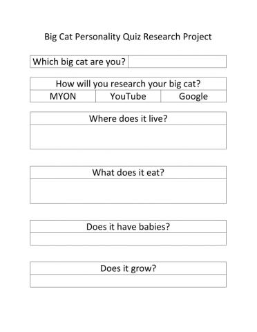 Big Cats Personality Quiz research project
