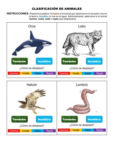 Clasificación de animales