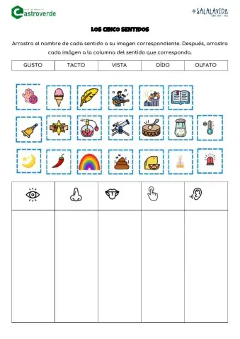 Cinco Sentidos. CE Castroverde. 2ºEp