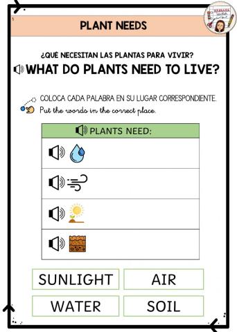 Plant needs