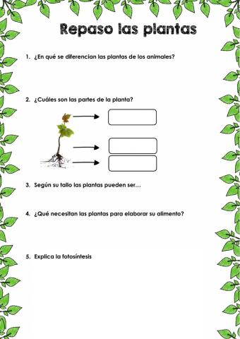 Repaso sobre las plantas