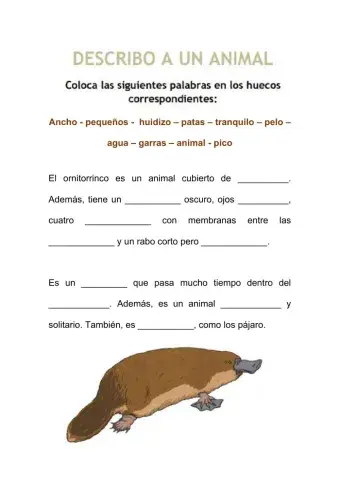 La descripción de un animal
