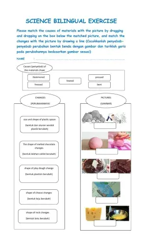 Science bilingual exercise