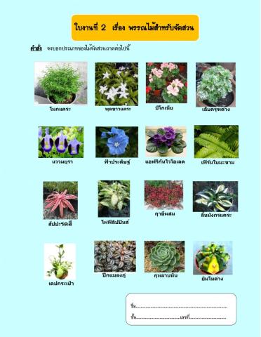 ใบงานที่ 2 เรื่องพรรณไม้สำหรับจัดสวนถาด