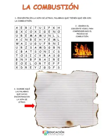 La combustion