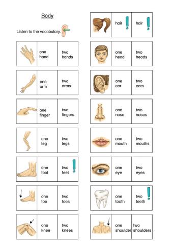 Body parts