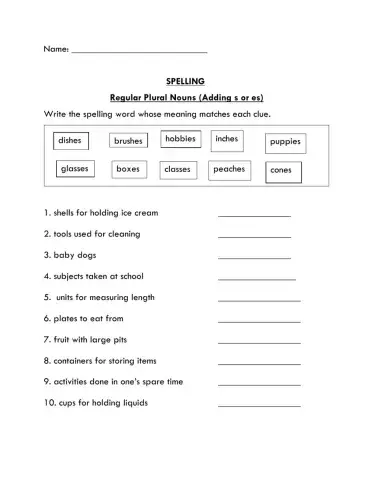 Regular Plural Nouns (Adding s or es)