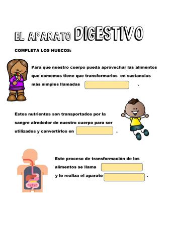 El aparato digestivo