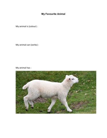 My Favourite Animal