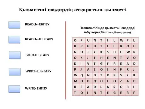 Паскаль тілі