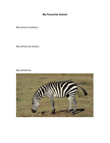 My Favourite Animal