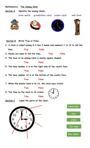 The Analog Clock