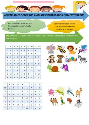 Animales vertebrados e invertebrados