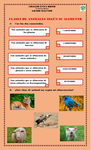 Animales según su alimentación