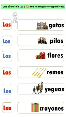 Coloca los o las según corresponda