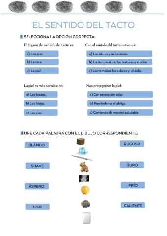 El sentido sel tacto