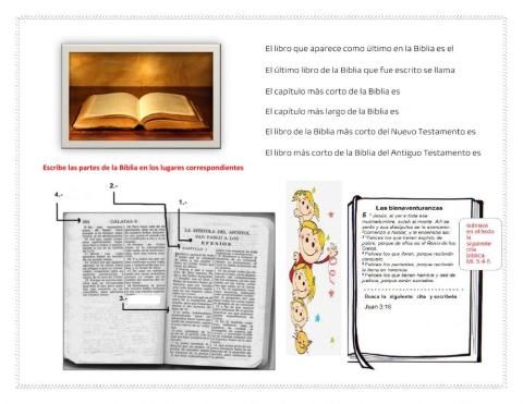 Introducción a la Biblia