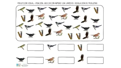 Asociacion, numero con cantidad