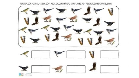 Asociacion, numero con cantidad