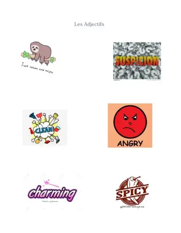 Les Adjectifs
