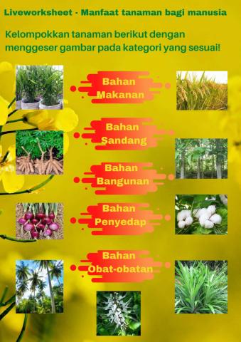 Manfaat Tanaman Bagi Manusia