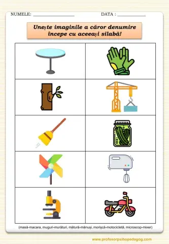 Cuvinte care încep cu aceeași silabă
