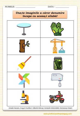 Cuvinte care încep cu aceeași silabă
