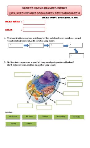 Lembar Kerja Peserta Didik Interaktif