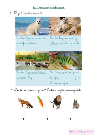 Los animales se relacionan