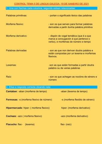 CONTROL LINGUA GALEGA TEMA 5