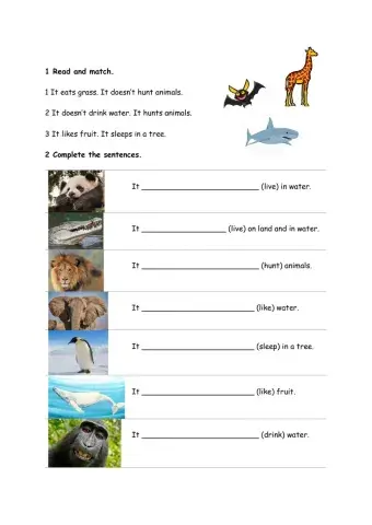 Talking about animals