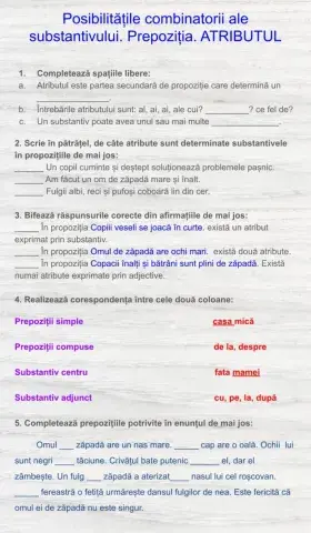 5. Posibilitățile combinatorii ale bustantivului. Prepoziția. Atributul