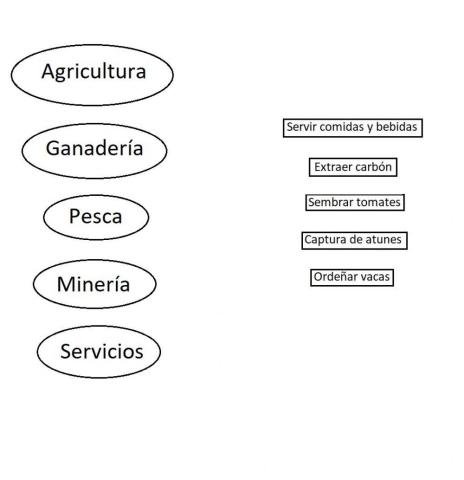 Relacionar actividades con sectores económicos
