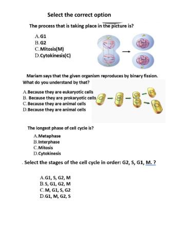Cell division 3