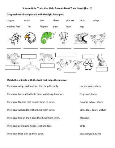 Science Quiz: Traits that help animals breathe, move, and get food