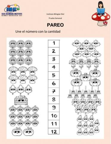 Conocimiento del medio