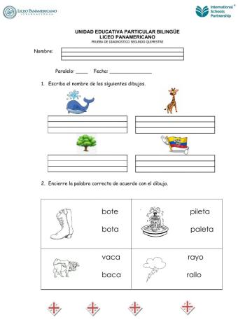Prueba de diagnostico