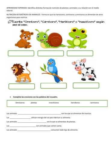 Distintas formas de nutrición