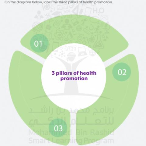 Pillars of Health Promotion