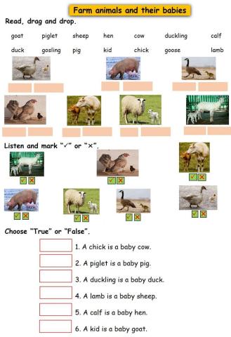 Farm animals and their babies