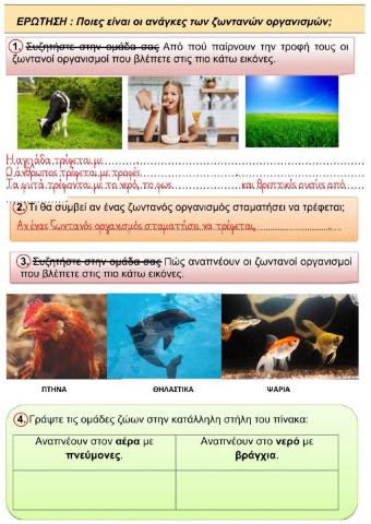 Β' Φ.Επ. - Κοινά χαρακτηριστικά ζωντανών οργανισμών