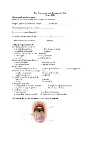 Test de evaluare sumativ-organe de simt