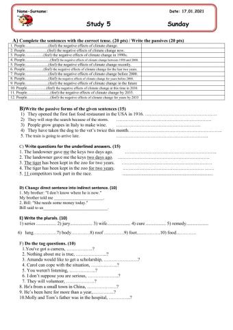 Study-5-Dürdane Hanım