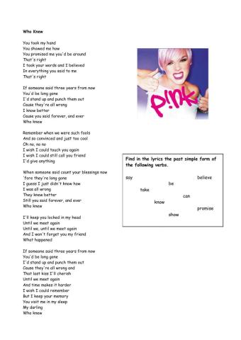 Who Knew - PINK - Past simple song worksheet
