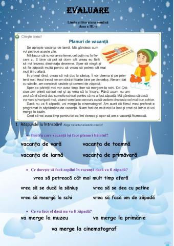 Planuri de vacanță