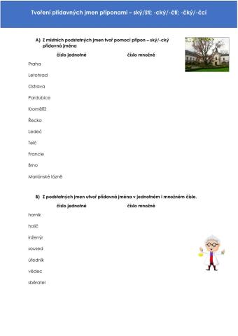 PŘÍDAVNÁ JMÉNA -ský,-ští- -cký, -čtí